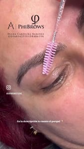 Eyebrow Tattoo result by Vip Brows Studio in Clermont, FL