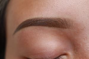 Eyebrow Tattoo result by VIX Cosmetic Tattoo in Burlingame, CA