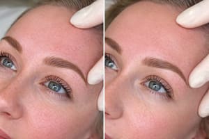 Eyebrow Tattoo result by White Iris Salon and Spa in Clearwater, FL