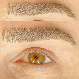 Eyebrow Tattoo result by Wild Beauty Permanent Makeup and Academy in Henderson, NV