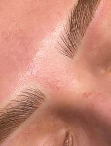 Eyebrow Tattoo result by Wild roses collective in Asheville, NC