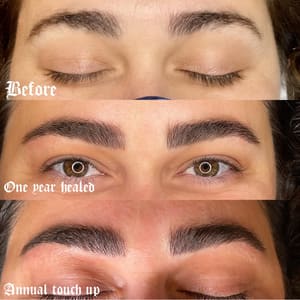 Eyebrow Tattoo result by Wild roses collective in Asheville, NC