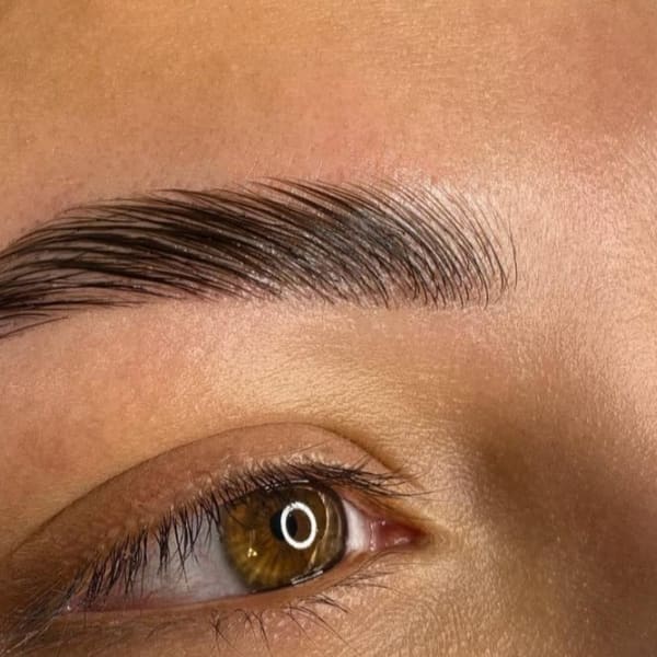 Eyebrow Threading & Beyond (Brow Microbladingg & Eyelash Extensions) - permanent makeup in Rolling Meadows, IL
