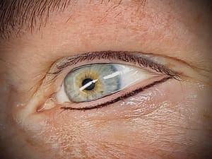 Eyeliner Tattoo result by ALBeauty Permanent Make-up and Microblading in Goshen, NY