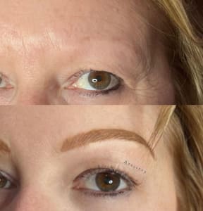 Eyeliner Tattoo result by AliLouise Artistry Esthetics in Palatine, IL