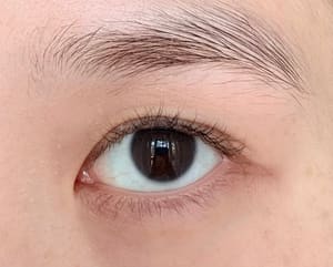 Eyeliner Tattoo result by Art Lash Beauty Studio in Wheeling, IL