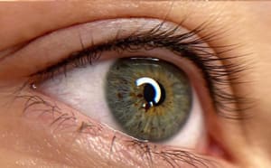Eyeliner Tattoo result by Bbrows in Monroe Township, NJ