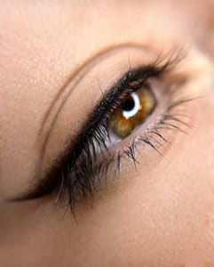Eyeliner Tattoo result by BeautifyPro Brows & Lashes in San Jose, CA