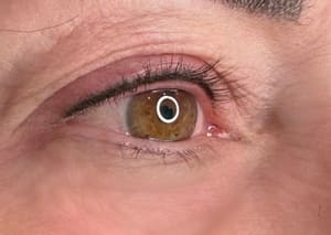 Eyeliner Tattoo result by Beauty Co in Brainerd, MN