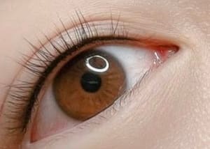 Eyeliner Tattoo result by Beauty Flex in Bayside, NY