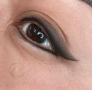 Eyeliner Tattoo result by beauty-ltl in Santa Monica, CA