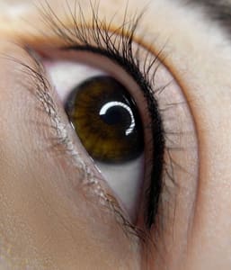 Eyeliner Tattoo result by Beauty Studio By Dino in Fairfax, VA