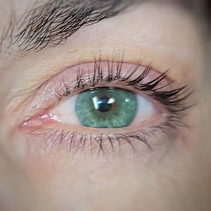 Eyeliner Tattoo result by Beyond Brows Beauty Studio in Downers Grove, IL