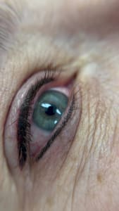 Eyeliner Tattoo result by Blush Salon and Spa in Clear Lake, IA
