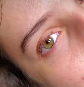 Eyeliner Tattoo result by Brows and Lashes by Erika C. in Miami Beach, FL