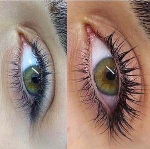 Eyeliner Tattoo result by Brows By Tommy in Studio City, CA