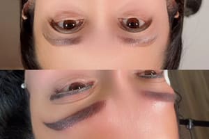 Eyeliner Tattoo result by Brows & lashes master in Crestview, FL