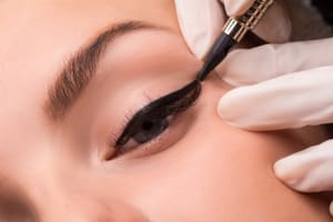Eyeliner Tattoo result by Duluth Cosmetic Tattoo Studio in Duluth, MN