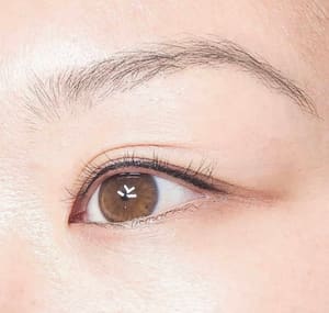 Eyeliner Tattoo result by Elena Komer in Woodstock, NY