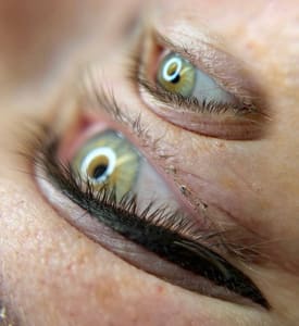 Eyeliner Tattoo result by Elinaa Brows Permanent Makeup in Encino, CA