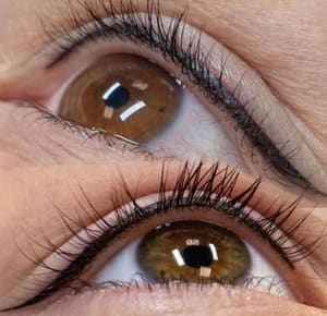 Eyeliner Tattoo result by Encanta Cejas in Rochester Hills, MI