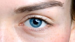 Eyeliner Tattoo result by EyeBeauty by Carrie | Permanent Eye Makeup in Lake City, FL