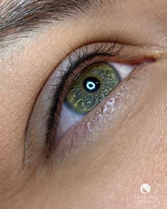 Eyeliner Tattoo result by Faceline PMU in Hallandale Beach, FL