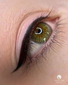 Eyeliner Tattoo result by Faceline PMU in Hallandale Beach, FL