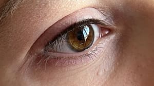 Eyeliner Tattoo result by ImprintBeauty Permanent Makeup - European Tattoo Lips Nano Brows Eyeliner Costa Mesa OC in Costa Mesa, CA