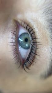 Eyeliner Tattoo result by IRIDESCENCE AESTHETICS Inside Salon Lofts in Pflugerville, TX