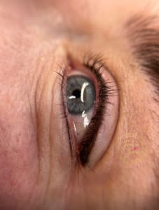 Eyeliner Tattoo result by Jessie Jane Permanent Makeup in Ventura, CA