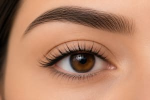 Eyeliner Tattoo result by JT Lash Studio in Laguna Beach, CA