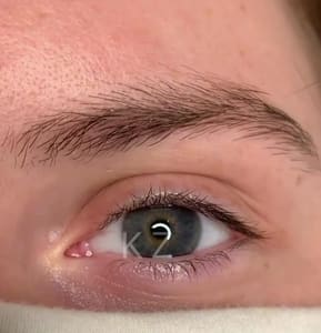 Eyeliner Tattoo result by KZ Brow Lashes in Redondo Beach, CA