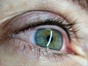 Eyeliner Tattoo result by L.A.Beauty PMU in Reno, NV