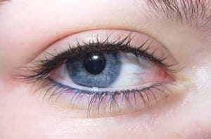 Eyeliner Tattoo result by La Beaute Spa & Permanent Makeup Center in Hermosa Beach, CA