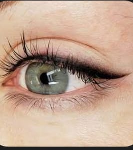 Eyeliner Tattoo result by La'Bella Permanent Makeup in Holland, MI