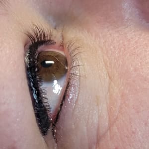 Eyeliner Tattoo result by La'Bella Permanent Makeup in Holland, MI