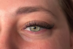 Eyeliner Tattoo result by Lash and Company Med Spa - Rino in Denver, CO