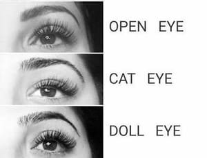 Eyeliner Tattoo result by Lash & Brow plus in Pasadena, CA