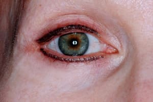 Eyeliner Tattoo result by Lasting Beauty Microblading and Permanent Cosmetic Tattoo Eyebrows By Valerie in Havertown, PA