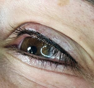 Eyeliner Tattoo result by Lilikoi Artistry Permanent Makeup & Piercing in South Jordan, UT