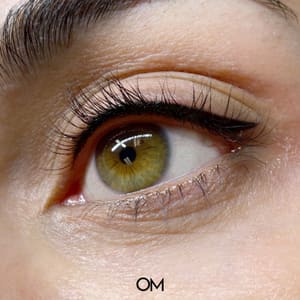 Eyeliner Tattoo result by LISA OM Miami Studio & Academy in Miami, FL