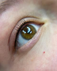 Eyeliner Tattoo result by Lotis Blue Beauty in San Francisco, CA