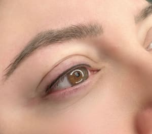 Eyeliner Tattoo result by Luminary Beauty Bar in Barrington, IL