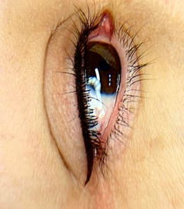 Eyeliner Tattoo result by Lux Brow’s in Baton Rouge, LA