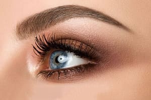 Eyeliner Tattoo result by Luxe Brows and Beauty in Santa Rosa, CA