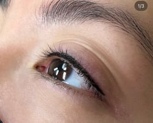Eyeliner Tattoo result by LuxeInk in Bethesda, MD