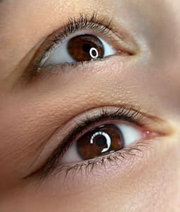 Eyeliner Tattoo result by Madame L Beauty LLC in Downers Grove, IL