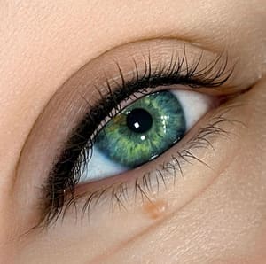 Eyeliner Tattoo result by Microblading Airy Vibes by Iryna Tkachuk in Costa Mesa, CA
