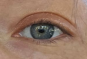 Eyeliner Tattoo result by MJ Beauty INK in Cooper City, FL